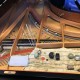 IMG_8754